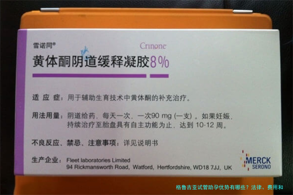 格鲁吉亚试管助孕优势有哪些？法律、费用和流程一次说清