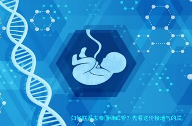 如何联系去泰国做试管？先看这份接地气的联系流程与避坑清单