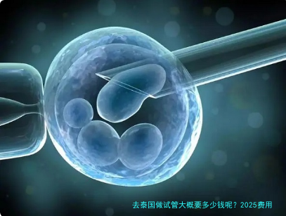 去泰国做试管大概要多少钱呢？2025费用清单和避坑指南