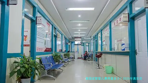 泰国试管婴儿费用是多少？2025年真实花费与避坑指南