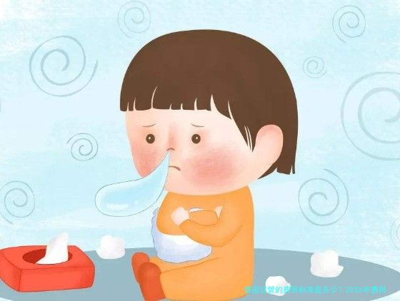 泰国试管的费用标准是多少？2026年费用明细与避坑经验