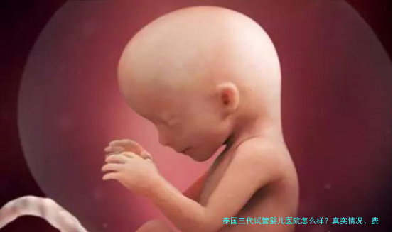 泰国三代试管婴儿医院怎么样？真实情况、费用和选院避坑指南