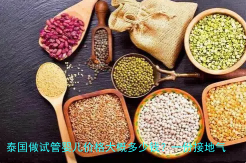 泰国做试管婴儿价格大概多少钱？一份接地气的费用清单