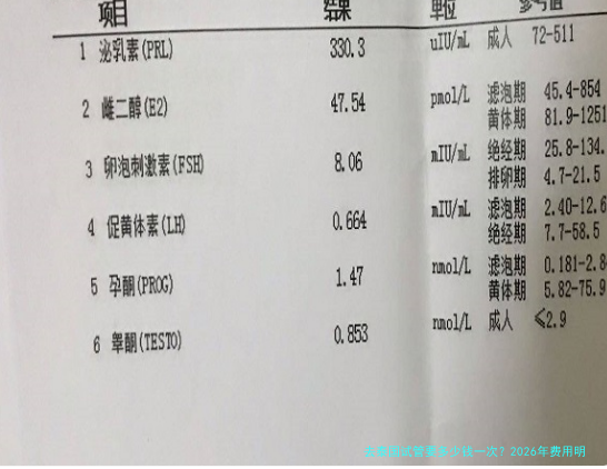 去泰国试管要多少钱一次？2026年费用明细和真实预算分享