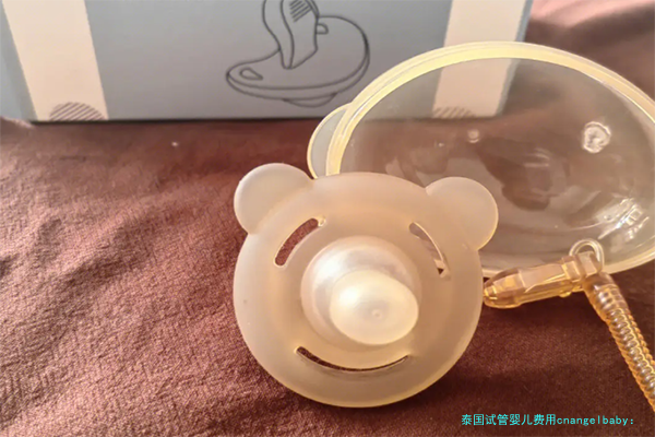 泰国试管婴儿费用cnangelbaby：真实花费明细和避坑经验分享