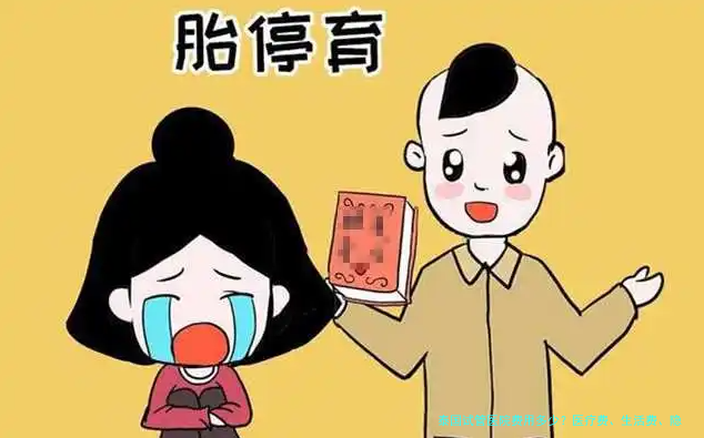 泰国试管医院费用多少？医疗费、生活费、隐藏开销一次讲清
