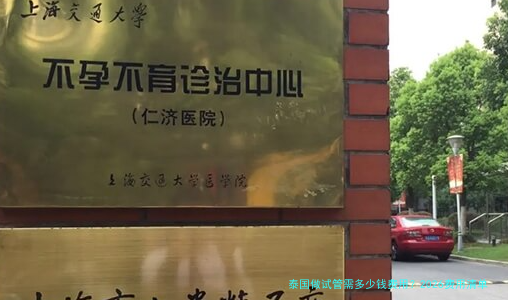 泰国做试管需多少钱费用？2026费用清单和避坑经验
