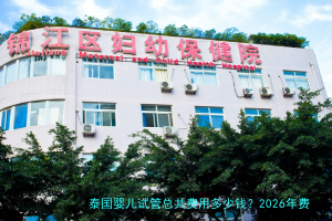 泰国婴儿试管总共费用多少钱？2026年费用清单与避坑经验