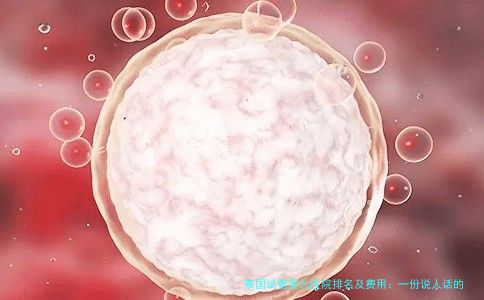 泰国试管婴儿医院排名及费用：一份说人话的选院指南