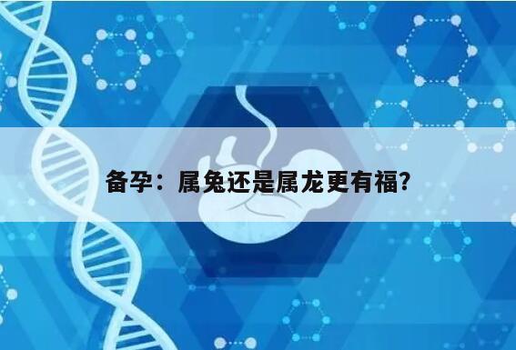 备孕：属兔还是属龙更有福？