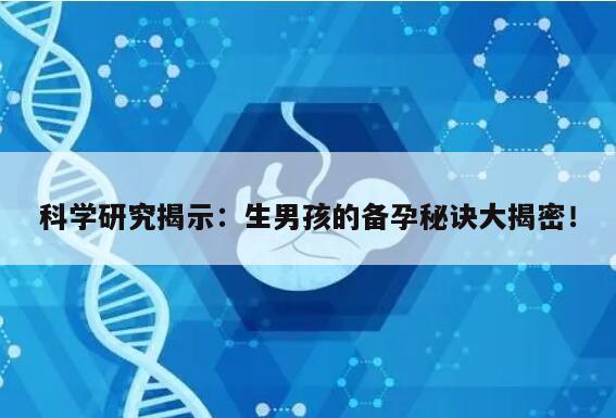 科学研究揭示：生男孩的备孕秘诀大揭密！