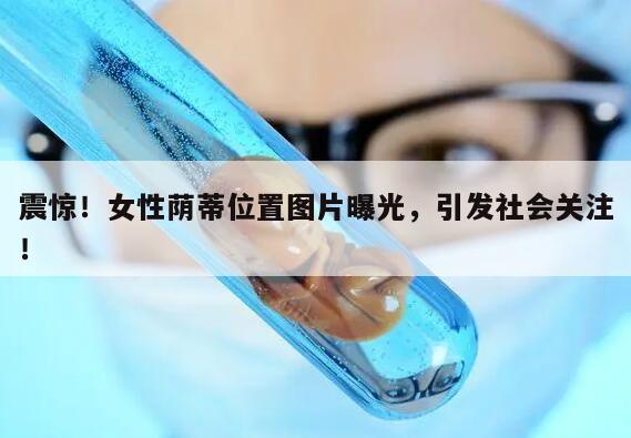 震惊！女性荫蒂位置图片曝光，引发社会关注！