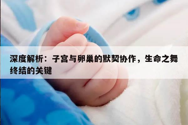 深度解析：子宫与卵巢的默契协作，生命之舞终结的关键