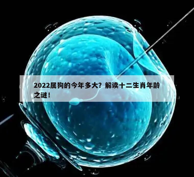 2022属狗的今年多大？解读十二生肖年龄之谜！