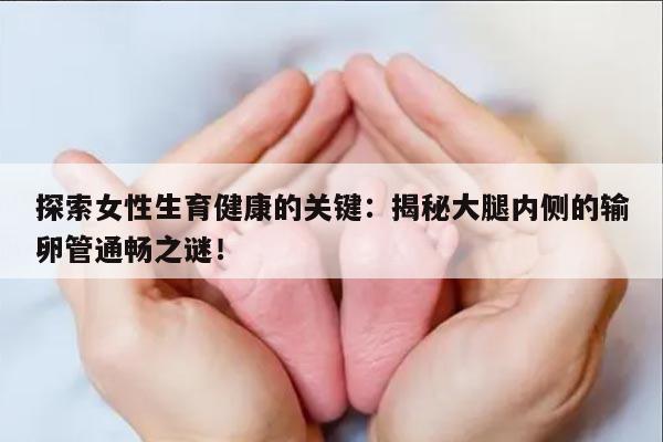 探索女性生育健康的关键：揭秘大腿内侧的输卵管通畅之谜！