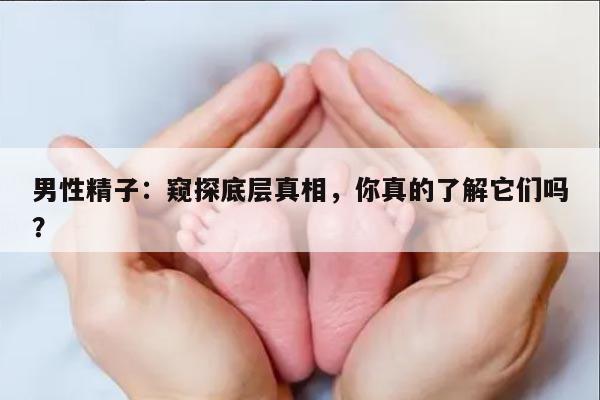 男性精子：窥探底层真相，你真的了解它们吗？