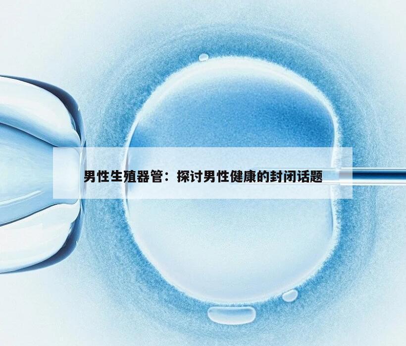 男性生殖器管：探讨男性健康的封闭话题