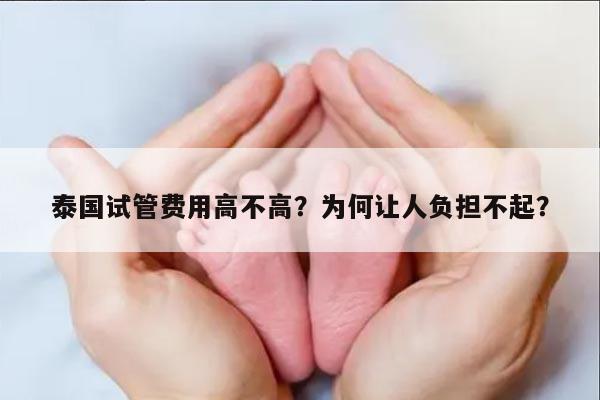 泰国试管费用高不高？为何让人负担不起？