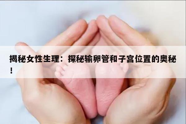 揭秘女性生理：探秘输卵管和子宫位置的奥秘！