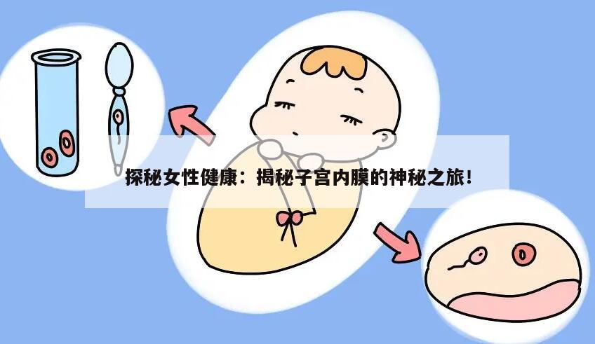 探秘女性健康：揭秘子宫内膜的神秘之旅！