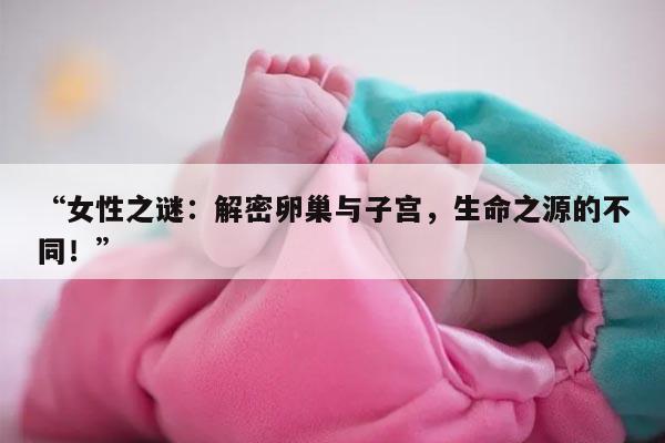 “女性之谜：解密卵巢与子宫，生命之源的不同！”