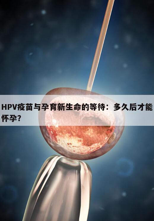 HPV疫苗与孕育新生命的等待：多久后才能怀孕？