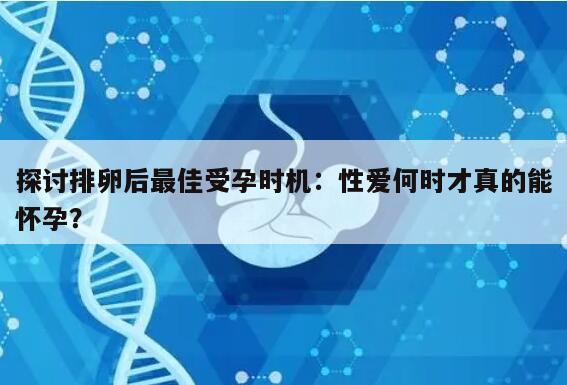 探讨排卵后最佳受孕时机：性爱何时才真的能怀孕？