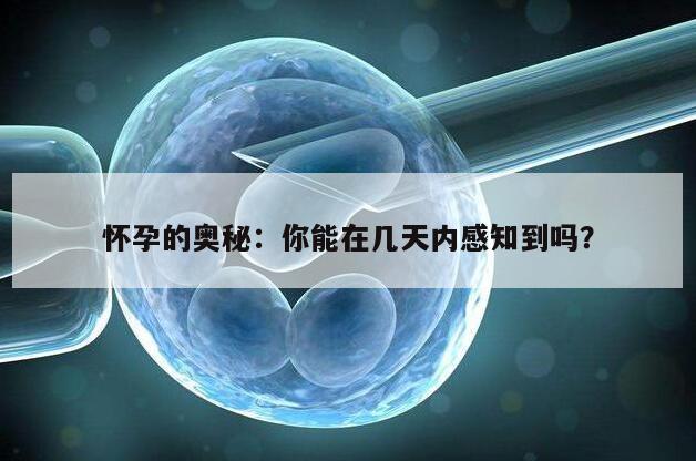 怀孕的奥秘：你能在几天内感知到吗？