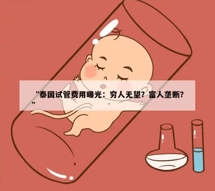 “泰国试管费用曝光：穷人无望？富人垄断？”