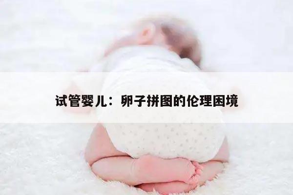 试管婴儿：卵子拼图的伦理困境