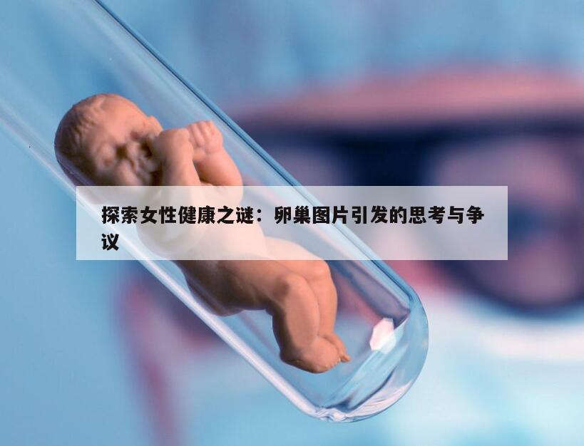 探索女性健康之谜：卵巢图片引发的思考与争议