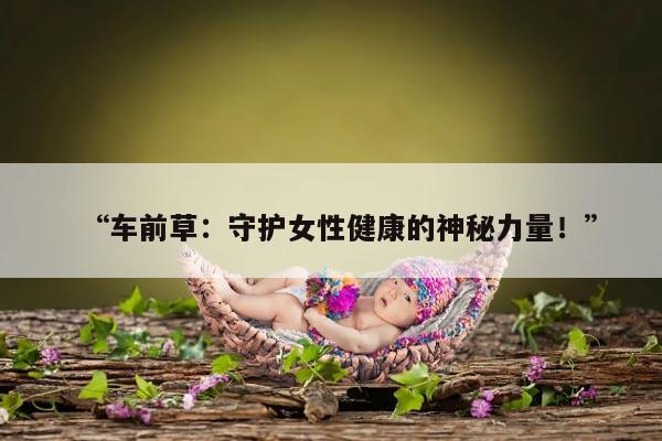 “车前草：守护女性健康的神秘力量！”