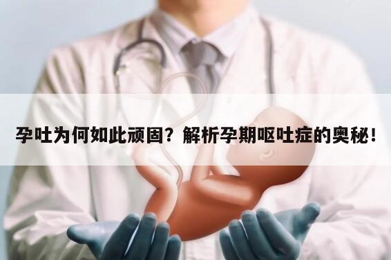 孕吐为何如此顽固？解析孕期呕吐症的奥秘！