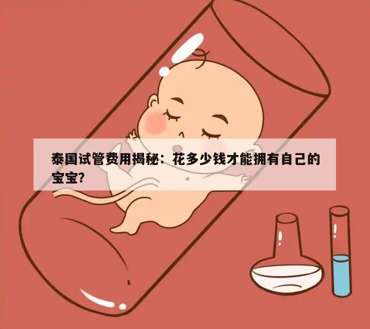 泰国试管费用揭秘：花多少钱才能拥有自己的宝宝？