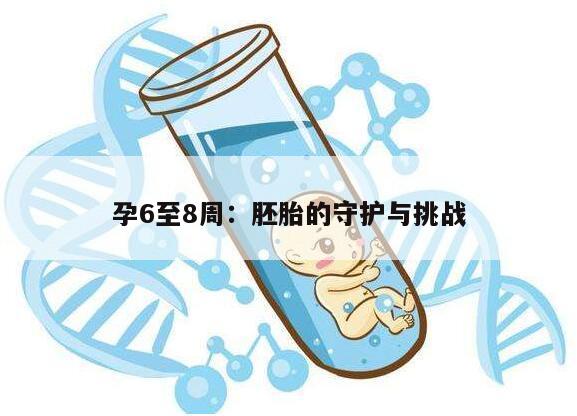 孕6至8周：胚胎的守护与挑战