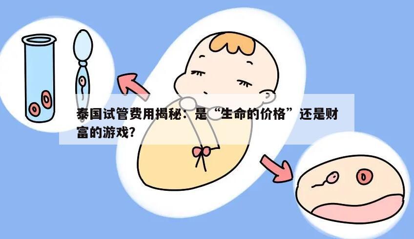 泰国试管费用揭秘：是“生命的价格”还是财富的游戏？