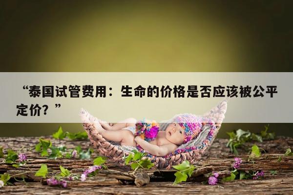 “泰国试管费用：生命的价格是否应该被公平定价？”