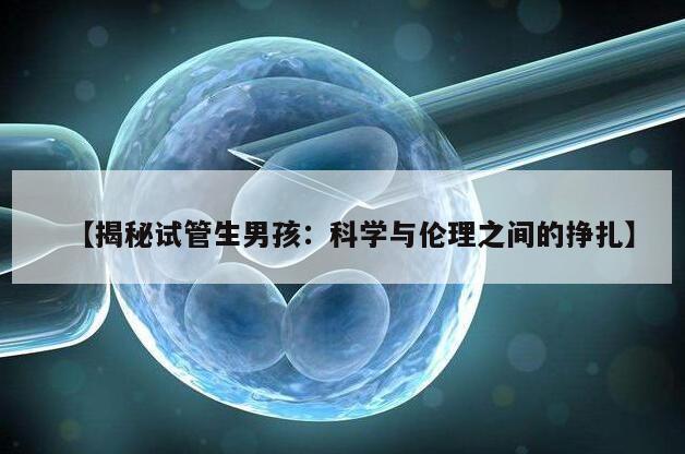 【揭秘试管生男孩：科学与伦理之间的挣扎】