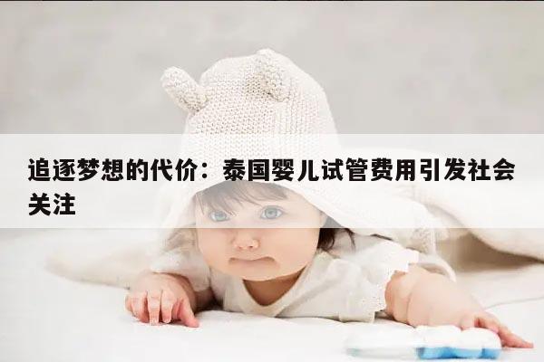 追逐梦想的代价：泰国婴儿试管费用引发社会关注