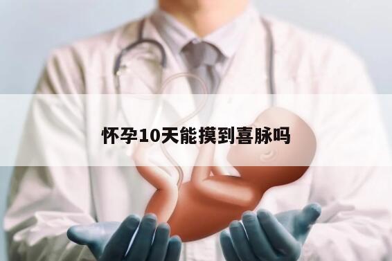 怀孕10天能摸到喜脉吗