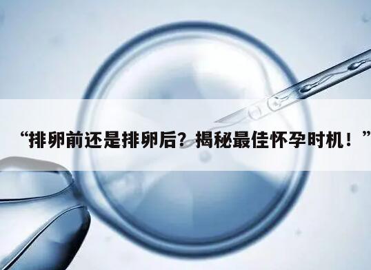 “排卵前还是排卵后？揭秘最佳怀孕时机！”