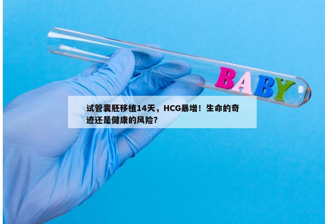 试管囊胚移植14天，HCG暴增！生命的奇迹还是健康的风险？