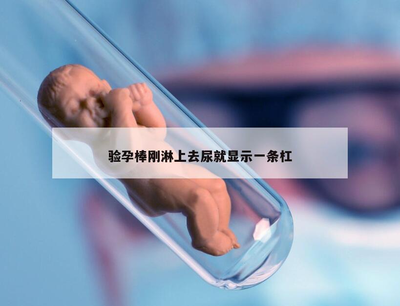 验孕棒刚淋上去尿就显示一条杠