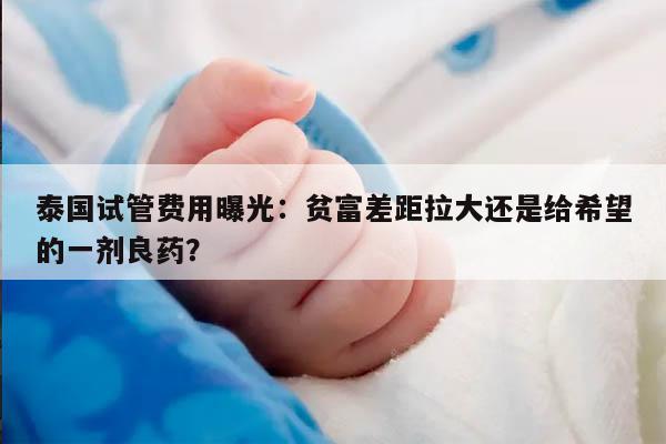 泰国试管费用曝光：贫富差距拉大还是给希望的一剂良药？