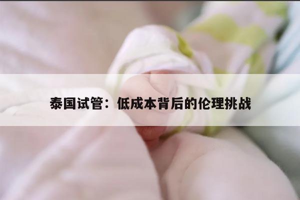 泰国试管：低成本背后的伦理挑战