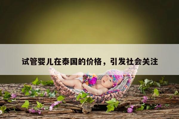 试管婴儿在泰国的价格，引发社会关注