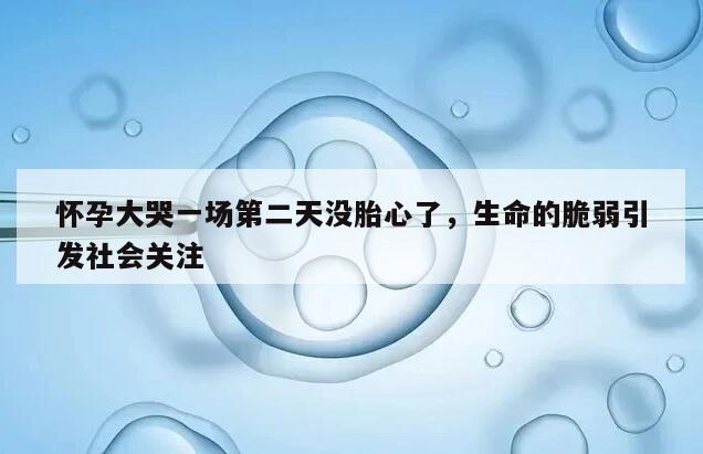 怀孕大哭一场第二天没胎心了，生命的脆弱引发社会关注