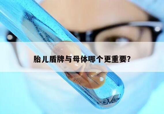 胎儿盾牌与母体哪个更重要？