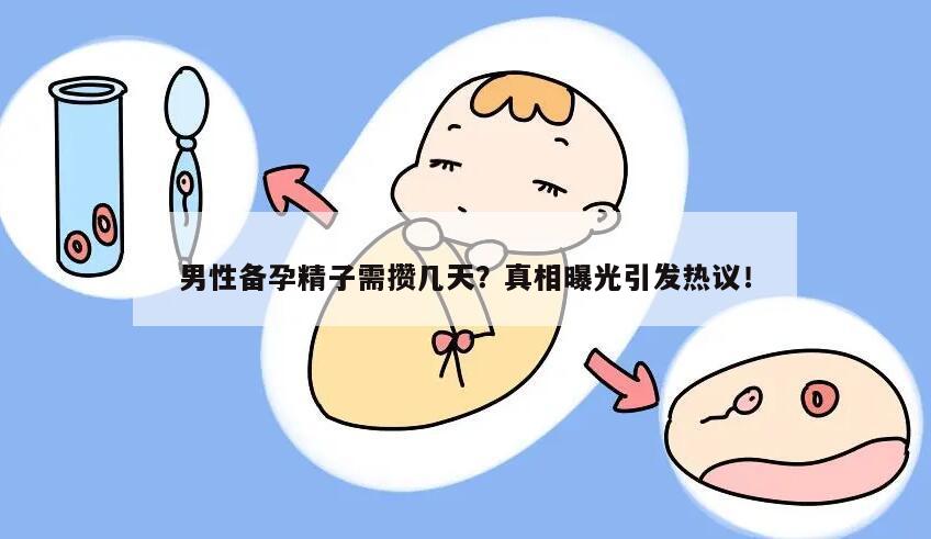 男性备孕精子需攒几天？真相曝光引发热议！