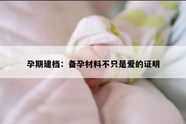 孕期建档：备孕材料不只是爱的证明